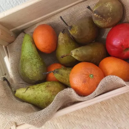 酒店 Don Candido *