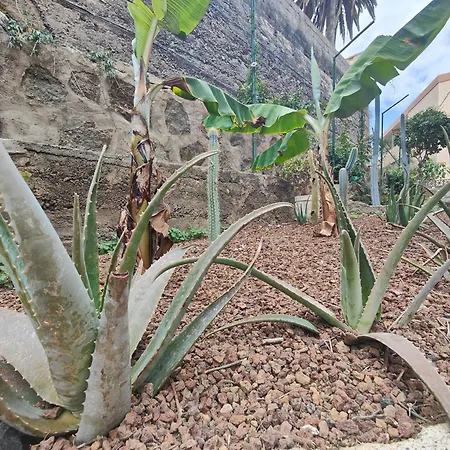 Oyo Don Cándido * Puerto de la Cruz (Tenerife)