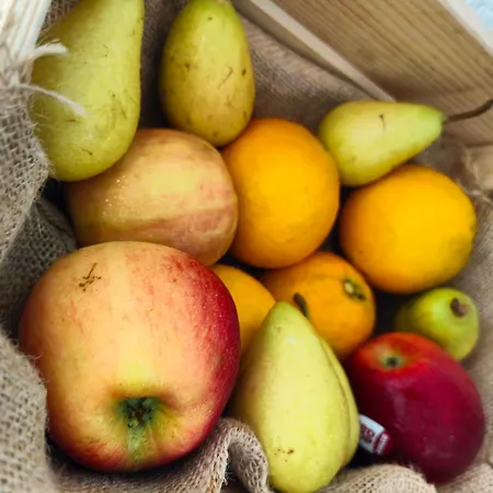 Don Cándido Hotel Puerto de la Cruz (Tenerife)