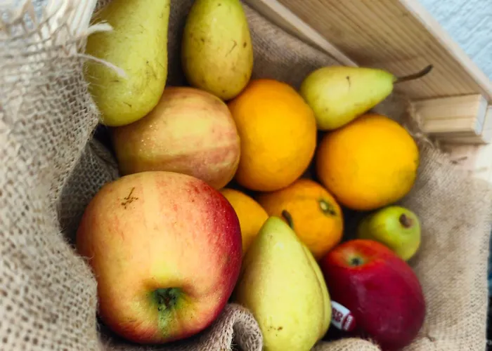 Don Candido Otel Puerto de la Cruz (Tenerife)